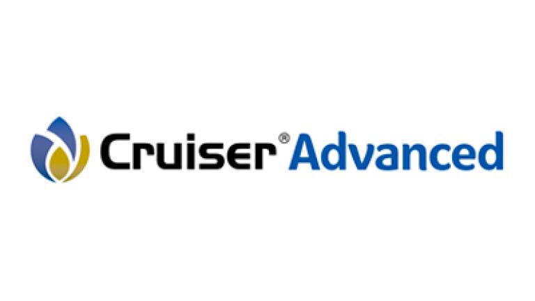 Cruiser Advanced 54,5 FS, Insecticida-Fungicida